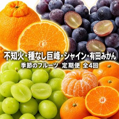 ふるさと納税 由良町 【発送月固定定期便】紀州和歌山産旬のフルーツセット(種なし巨峰・シャイン・みかん・不知火)全4回