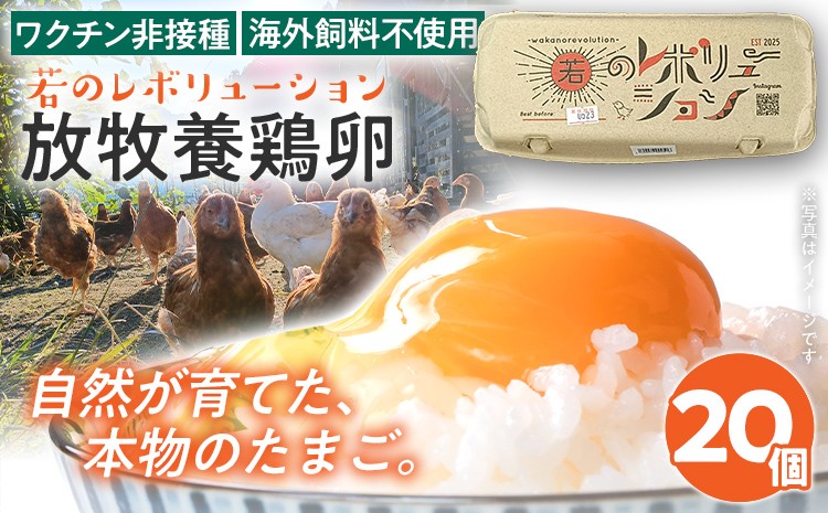 
                  卵 放牧養鶏卵 20個 「破損補償2個含」 若のレボリューション たまご 鶏卵 生卵 卵かけご飯 TKG 国産 ワクチン非接種 海外飼料不使用 発酵飼料 新鮮 お取り寄せ グルメ 贅沢 福岡 ※北海道・沖縄・離島は配送不可
                