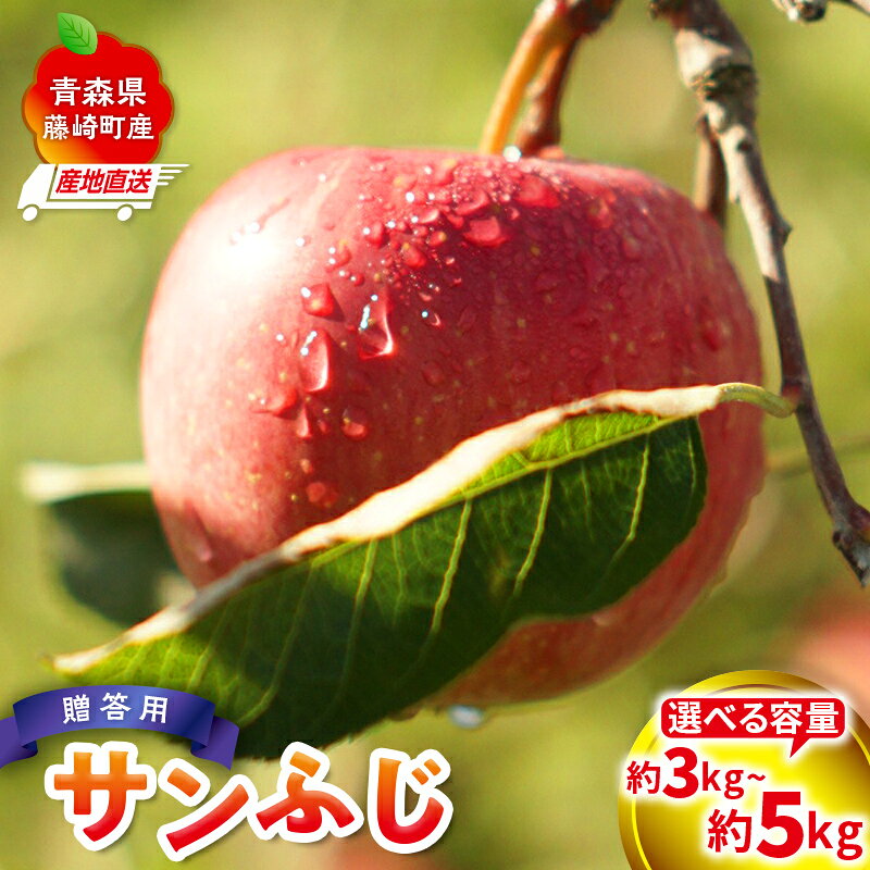 【ふるさと納税】＜産地直送＞ サンふじ 贈答用 特選クラス 約3kg (7〜10個)or 約5kg (12～20個) 選べる容量 【前田農園】ふじ発祥の地 青森りんご リンゴ アップル 果物 くだもの フルーツ 暮らしの林檎園 La Pomme Farm 青森県 藤崎町 F41-0073var
