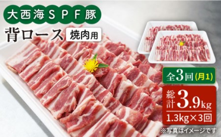 3回定期便 大西海SPF豚 背ロース 焼肉 計1.2kg 訳あり ＜大西海ファーム＞ [CEK096] 焼肉 焼肉 焼肉 焼肉 焼肉 焼肉