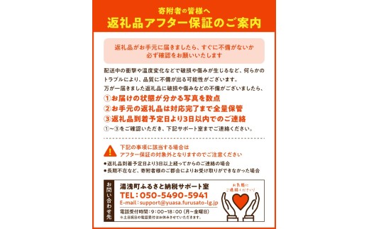 DZ6100_【2026年先行予約】ご家庭用 有田みかん 和歌山 S～Lサ
