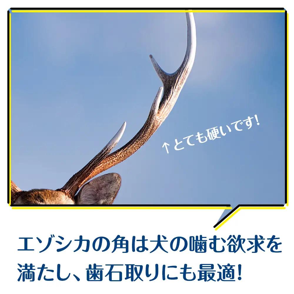 犬 おもちゃ おやつ 無添加 国産 エゾ鹿 鹿角 (200g～300g)