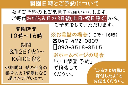 梨狩り体験 1グループ5名様まで 5個 梨の収穫体験 幸水 豊水 新高 甘みがあって大玉の梨が自慢  親子で楽しむ 近場で楽しむ 新鮮 もぎたて 夏の体験 夏休み しろいの梨  梨のもぎ取り