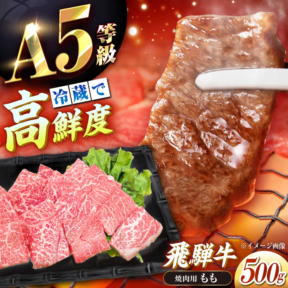 【ふるさと納税】【チルド（冷蔵）発送！】 牛肉 「飛騨牛」 A5等級 もも 500g / 肉 お肉 にく牛肉 飛騨牛 和牛 国産和牛 ブランド牛 お取り寄せ ステーキ 焼肉 おすすめ 人気 贈答用 ギフト 焼肉 バーベキュー /恵那市/東美濃農業協同組合[AUFX005]