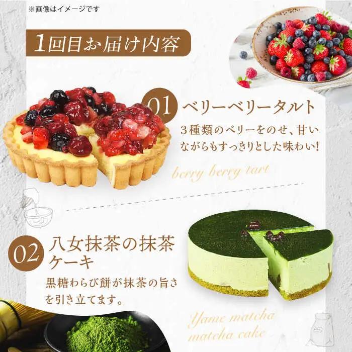 【3回定期便】6種のケーキ・タルト スイーツ定期便 / ケーキ[AFAK033]