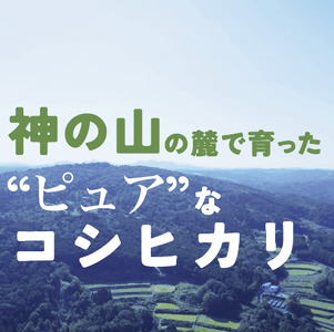 9月〜10月発送予約 切幡営農組合のコシヒカリ 令和7年産 精米5kg×2袋