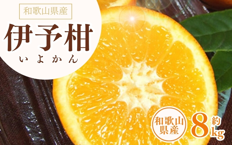 伊予柑(いよかん) 約8kg/サイズおまかせ　※2027年1月中旬～2月中旬頃に順次発送予定(お届け日指定不可)　紀伊国屋文左衛門本舗　【kztb440B】