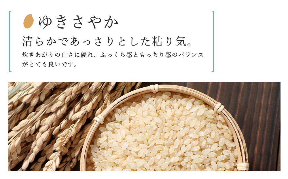 新米発送 玄米 ゆきさやか 10kg　特別栽培米産地直送《帰山農園》