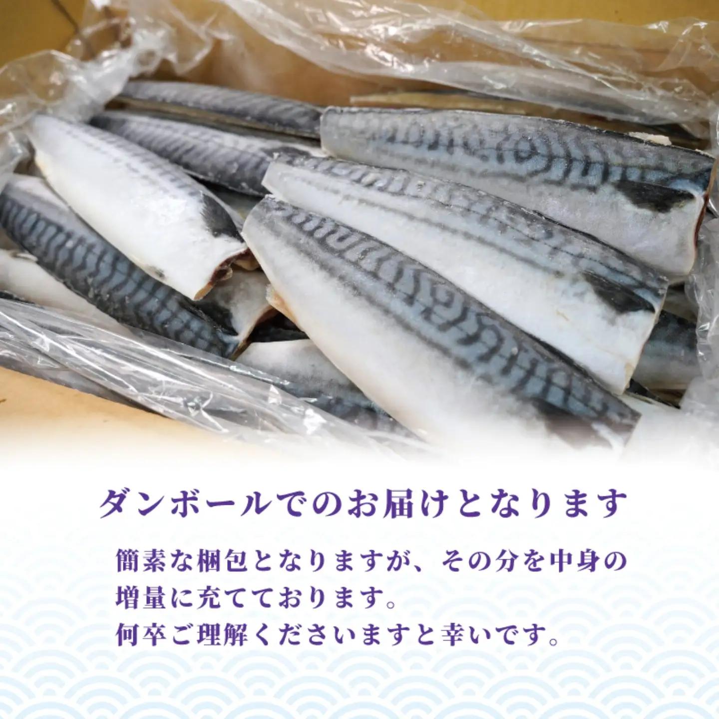 訳あり 塩鯖 3㎏ 鯖