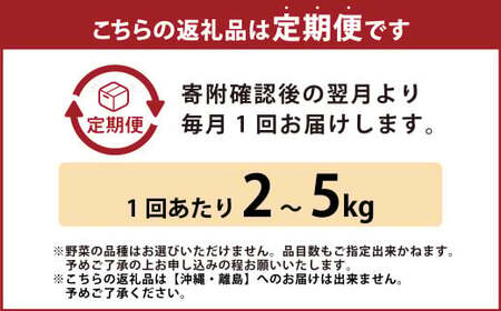 【定期便6回】旬の朝採れ土佐野菜詰め合わせ（10～13品目）詰め合わせ 野菜セット 野菜 ギフト やさいセット お取り寄せグルメ 家庭用 旬野菜 新鮮 特産 農薬不要 食材