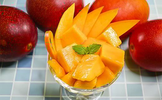 【先行予約】最高級完熟マンゴー『太陽のタマゴ』3Ｌ×2玉　西都市産＜2.8-2＞2026年発送 果物 くだもの フルーツ 宮崎県西都市