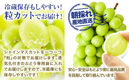 シャインマスカット 粒カット ばら 約2kg (2袋入り)