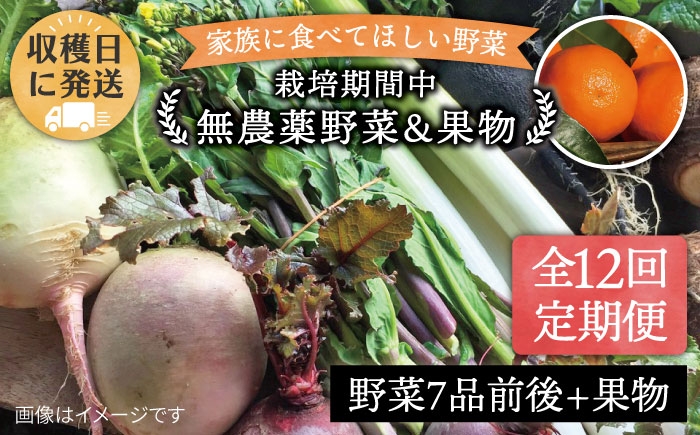 
                  【全12回定期便】こだわり 野菜 （7品前後） セット ＋ 果物 《糸島》【 オーガニックナガミツファーム】	[AGE013]
                