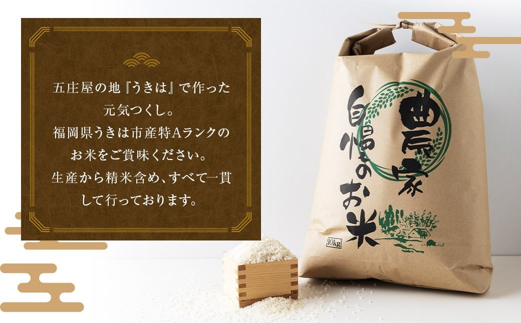 【特Aランク米】五庄屋の地で作ったお米 元気つくし 白米 (4.5kg)