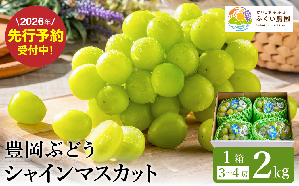 豊岡ぶどう シャインマスカット 約2kg / 豊岡ブドウ 産地直送 糖度が高い 濃厚 甘味 上品な香り 歯切れの良い 皮ごと 食べられる 減農薬 シャイン マスカット ぶどう ブドウ 葡萄 果物 くだもの フルーツ ふくい農園
