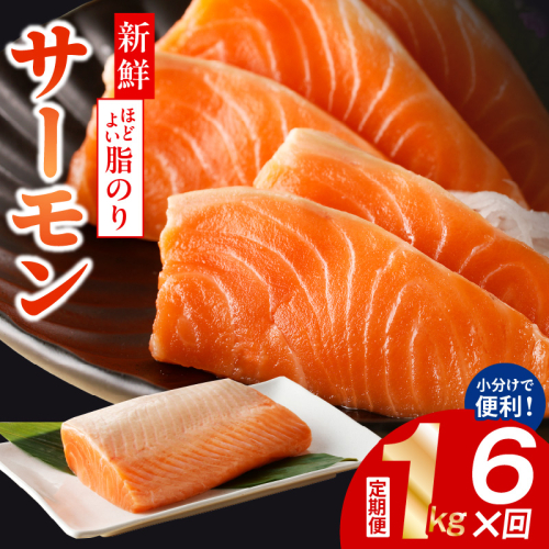 サーモン 定期便 1kg×全6回【ポーション 訳あり サイズ不揃い 刺身 海鮮丼 さーもん サラダ カルパッチョ 鮭 さけ シャケ しゃけ 人気 小分け 冷凍 家計応援】 099Z347