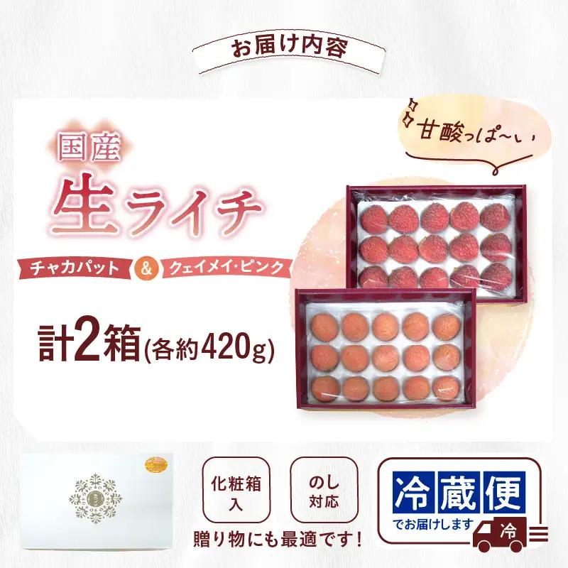 先行予約 数量限定 希少 国産 綾 生ライチ 2箱セット 2種類（化粧箱入り）果物 フルーツ くだもの 国産ライチ 2027年 トロピカルフルーツ 南国フルーツ 冷蔵 ジューシー 高級 デザート ギフ