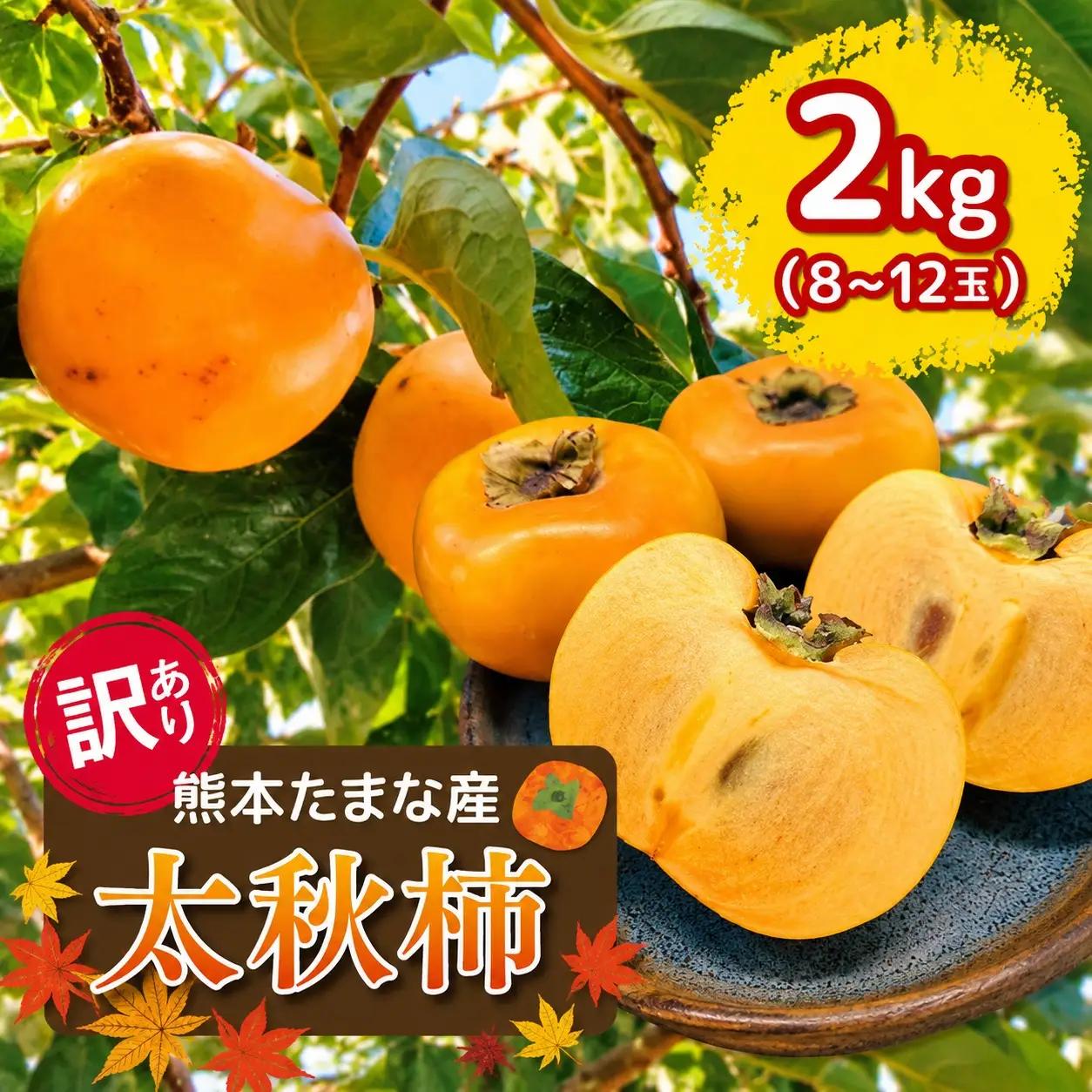 訳あり 柿 約2kg 太秋柿 KiyomotoFarm