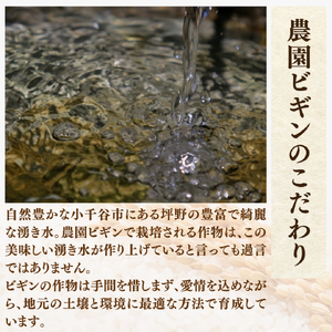 令和7年産 昔ながらの魚沼産コシヒカリ 従来品種 定期便 60kg（5kg×2袋×毎月全6回）農園ビギン/定期便 定期便 定期便 定期便
