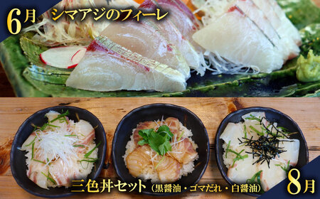 定期便 全6回 愛南の魚料理 クエ鍋セット タマクエ 鯛 タイ お造り 刺身 さしみ シマアジ フィーレ フィレ 鯛めし 丼 醤油 漬け カツ フライ ハラミ 唐揚げ カマ 焼き グリル 海鮮 魚介 