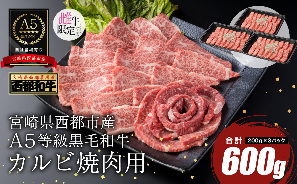 【最高品質A5等級 西都和牛】黒毛和牛カルビ焼肉600ｇ（200ｇ×3）宮崎県産＜1.9-5＞【カミチクファーム】牛肉 肉 ビーフ 焼肉 宮崎県西都市