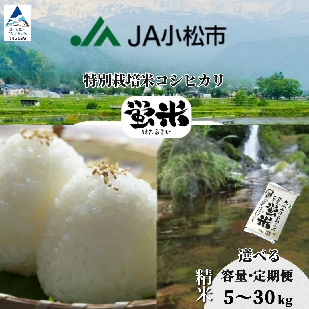 【ふるさと納税】先行予約 令和8年産 《 特別栽培米コシヒカリ 》蛍米 精米 選べる 5kg / 10kg / 20kg / 定期便 米 コメ お米 県産米 国産米 5キロ 10キロ 20キロ お取り寄せ 人気 ランキング おすすめ お中元 お歳暮 ギフト 小松市 こまつ 石川県 010013 【JA小松市】