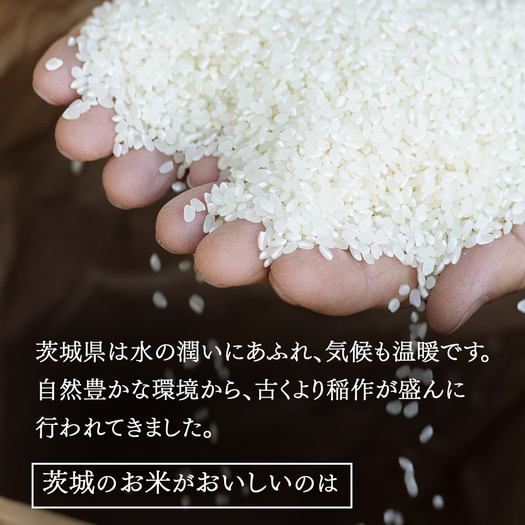 令和7年産 茨城県産 精米 ミルキークイーン 5kg （5kg×1袋） 白米 米 コメ こめ 単一米 限定 茨城県産 国産 美味しい お米 おこめ おコメ[EH38-NT]_イメージ3