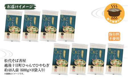 ひやむぎ ひゃんで 600g×8袋 約48人前 乾麺 ひやむぎ