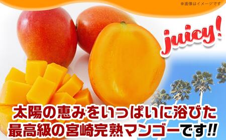 【先行受付!】宮崎完熟マンゴー家庭用1kg以上(都城産)_MJ-3311_(都城産) 特大4Lサイズ(500g以上)2玉 L～3Lサイズ3玉～5玉など組合わせで合計1kg以上 宮崎マンゴー 2025年