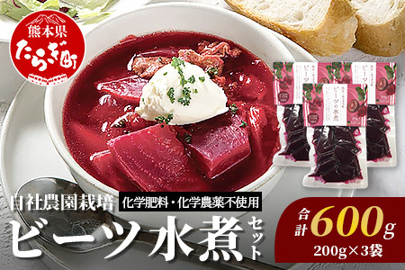 自社農園栽培 ビーツ 水煮 600g(200g×3袋) 熊本県 産 国産 スーパーフード 高栄養 beet レトルト 115-0615