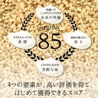 ≪先行予約≫【6回定期】特別栽培米 コシヒカリ ヒロシノキモチ 精米 5kg 総計30kg ブランド米 銘柄米 国産 米 お米 日本米 ギフト 贈り物 備蓄 防災 食品 陽咲玲 はるざれ F6T-81
