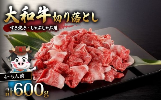 牛肉 切り落とし 小分け 600g 4～5人前 大和牛 牛肉 しゃぶしゃぶ すき焼き カレー BBQ 焼き肉 焼肉 惣菜 おかず 国産牛肉 和牛 切り落し 牛肉 切り落とし 小分け 国産 お肉 肉 ギフト 贈り物 贈答 奈良県 奈良市