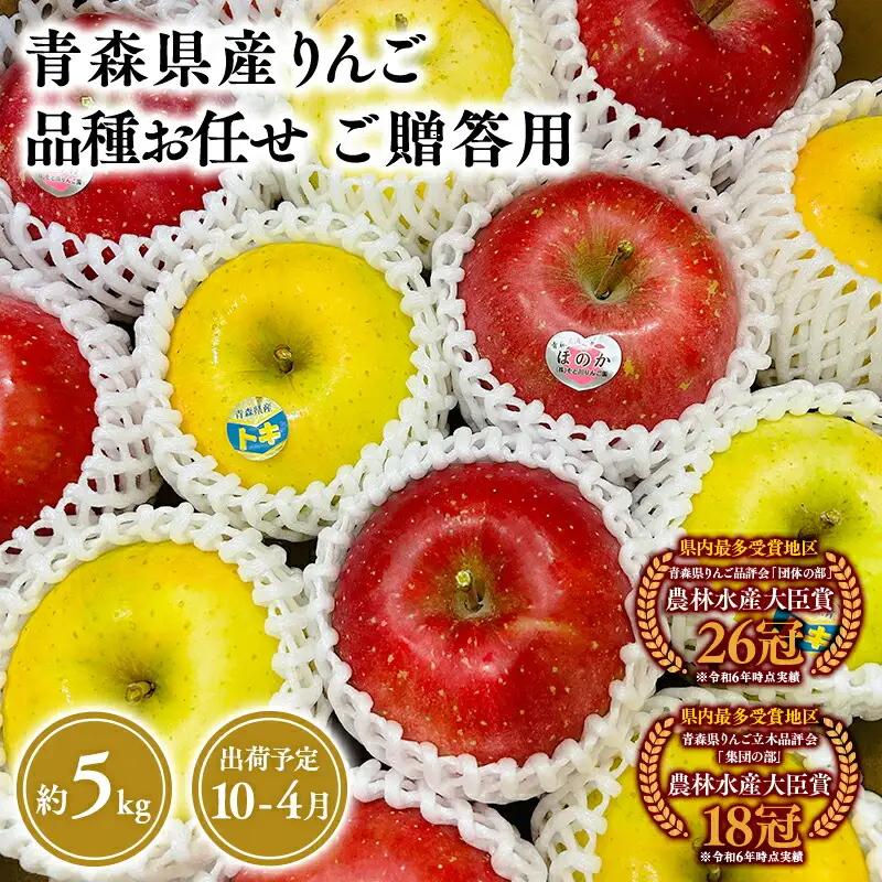 りんご 贈答用　旬の詰め合わせ5kg 【hi-0053-075】