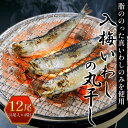 【ふるさと納税】 入梅いわしの丸干し 12尾（3尾入×4袋） ふるさと納税 いわし イワシ 鰯 魚 干物 乾物 魚介 千葉県 大網白里市 送料無料 AE001