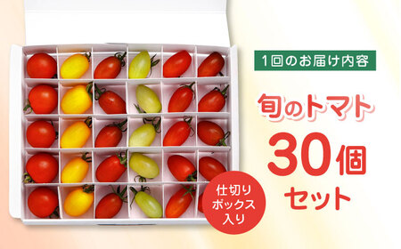 【全2回定期便】トマト ミディトマト 30個セット トマト トマト トマト トマト トマト [YDE006]