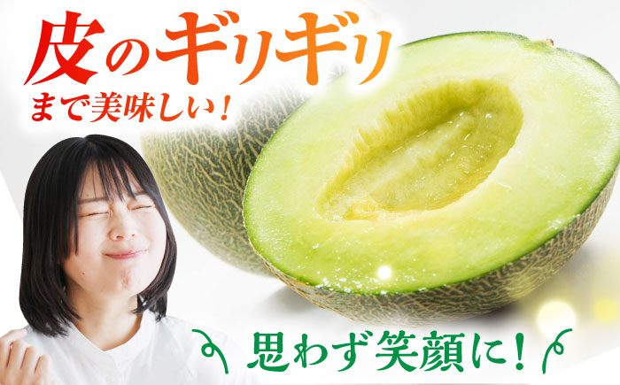 【数量限定】【先行予約】肥後グリーンメロン 約2kg（2玉）【鹿本農業協同組合】 [ZAG014]