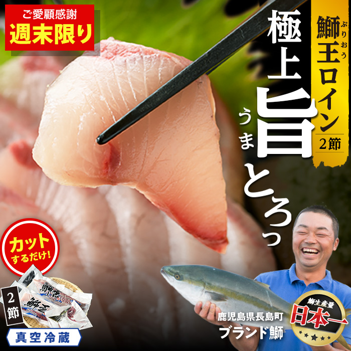 【6月27日～6月30日 限定ご愛顧感謝寄付金額】鰤王新物ロイン 17000円→15000円【切って盛るだけ】『旅サラダ』で紹介ぶりの王様 新物 「 鰤王 」ロイン (約750g・2節)  半身 産地直送 新鮮 旨味が抜群の 長島町 特産品 ブランド ぶり 鰤 ブリ 切り身 ぶりかま フィレ 真空 冷蔵 刺身 ぶりしゃぶ しゃぶしゃぶ 魚 魚介 人気 ランキング 【株式会社JFA】_jfa-1482-C