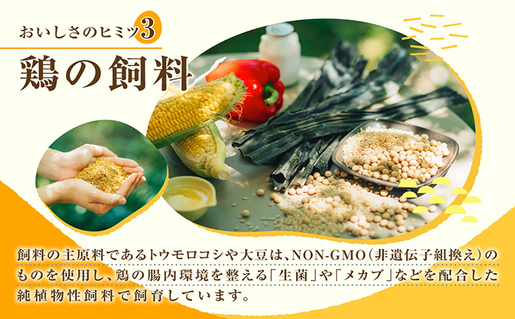 【6か月定期便】放し飼い米たまご55個+5個保証（計60個）