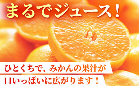 【先行予約】【数量限定】【3回定期便】【訳あり】家庭用 みかん 約3kg 詰め合わせ 柑橘【合同会社 社方園】[ZBZ023]