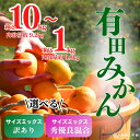 【ふるさと納税】 有田みかん 訳あり 秀品 優品 箱込 10kg / 5kg / 2.5kg / 1kg ※11月中旬以降順次発送 和歌山県産 産地直送 贈答用 【みかんの会】 //mandarin