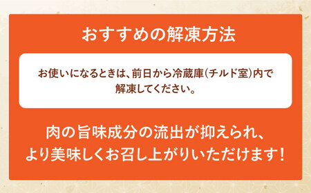 【12回定期便】佐賀和牛 切り落とし 計1kg(250g×4p)【一ノ瀬畜産】[NAC167]