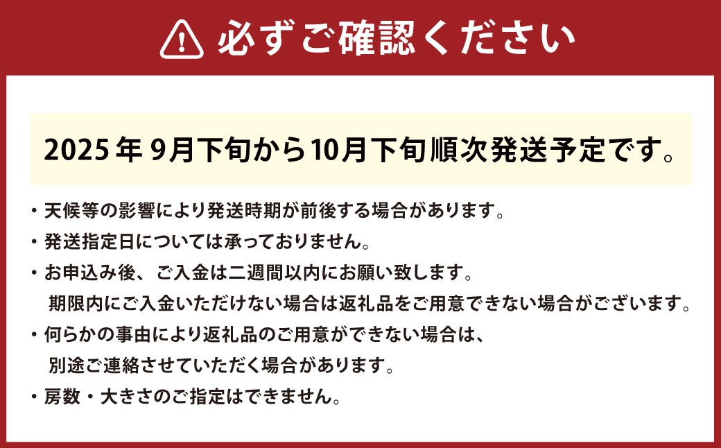 【先行予約】岡山県産シャインマスカット2kg 1箱 【2025年9月下旬-10月下旬発送予定】
