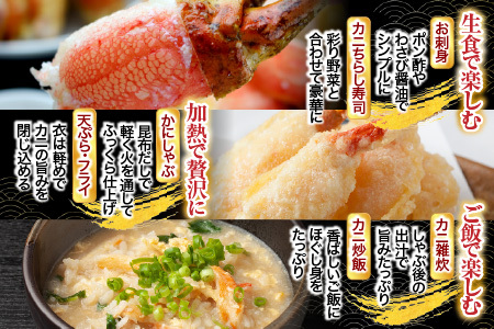 生食用本ズワイガニ爪ポーション1.5kg B-11086【12月13日決済分まで年内配送】