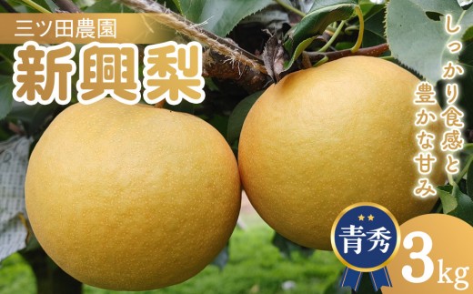 三ツ田農園 新興梨 (青秀)3kg【10月頃お届け】