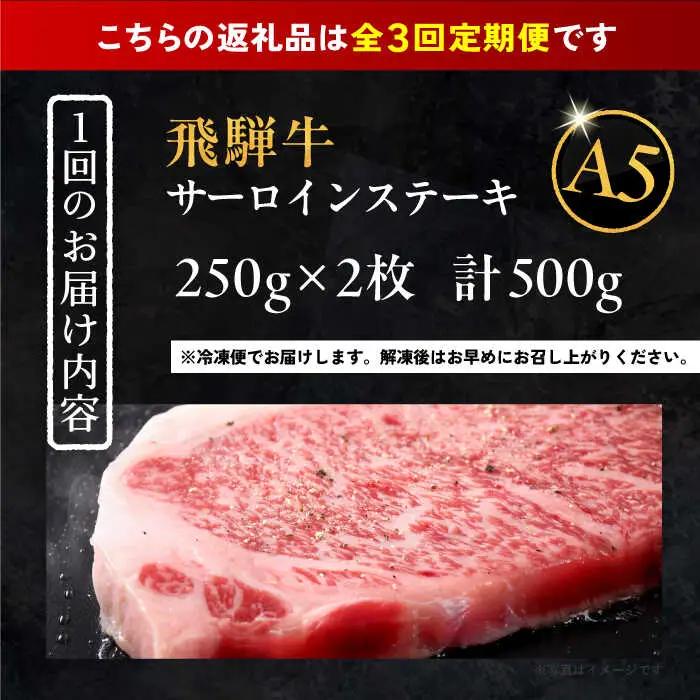 【3回定期便】 飛騨牛 サーロインステーキ (A5ランク) 1パック (250g×2枚) / 恵那市 / 岩島屋 [AUAJ027]