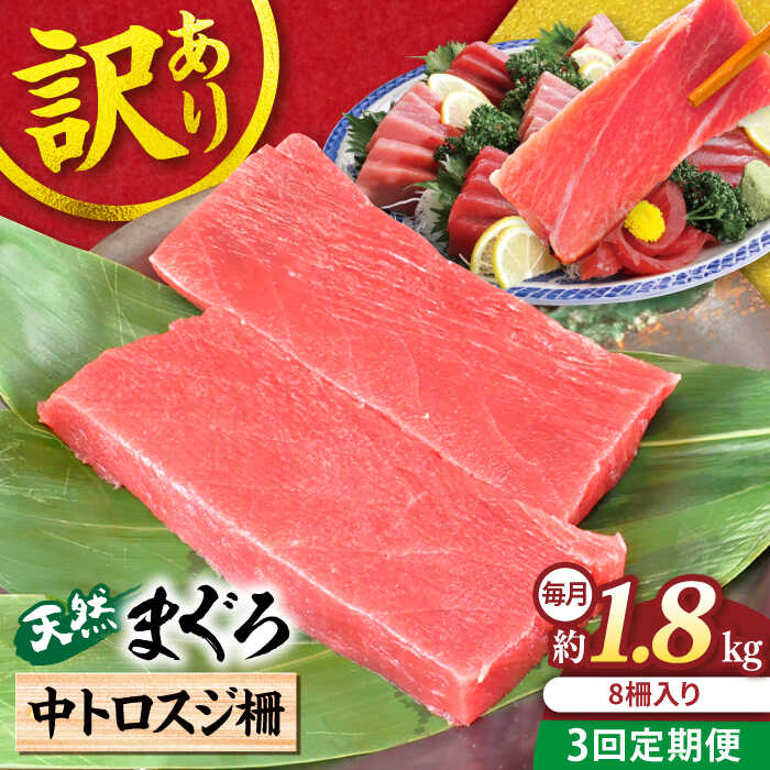 【ふるさと納税】【全3回定期便】【訳あり】天然 本まぐろ 中トロ 計約1.8kg (8柵入り) マグロ 定期 鮪 まぐろ 中とろ 刺身 定期便 横須賀 規格外 【本まぐろ直売所】[AKAK071]