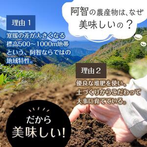 【先行予約】南信州 阿智村 市田柿 1箱（約700g）｜［市田柿　市田柿　市田柿　市田柿　市田柿］