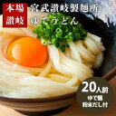 【ふるさと納税】丸亀からお届け！元祖さぬきゆでうどん 20人前　【 麺類 小麦製品 子供 お昼 ランチ あっさり 簡単 調理 テレワーク 在宅勤務 自宅 本格 のど越し 長期 保存 粉末だし付き だし付き 】