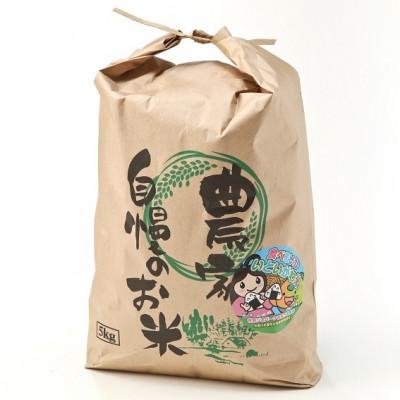 ふるさと納税 糸魚川市 【毎月定期便】新潟県産 糸魚川産 コシヒカリ 100% 精米 5kg全6回