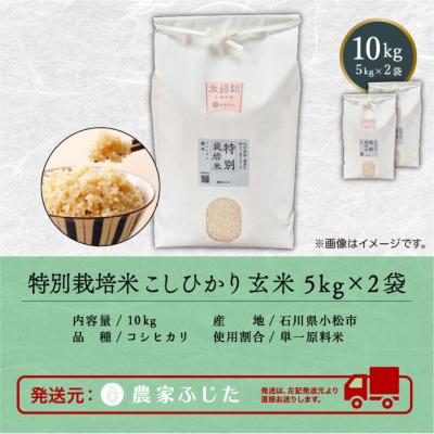 ふるさと納税 小松市 コシヒカリ 玄米 10kg 令和7年産 新米 特別栽培米こしひかり 【農家ふじた】 |  | 02